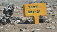 Seru Grandi Bonaire (c) 2010 BonaireVakantieland.nl